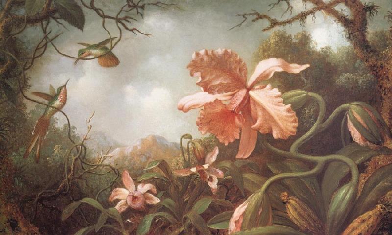 Martin Johnson Heade The Hummingbirds and Two Varieties of Orchids Sweden oil painting art